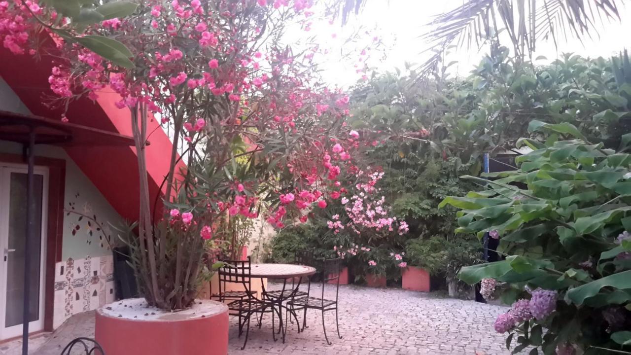 Casa 3 Aguias Panzió Aveiro Kültér fotó